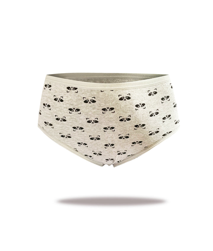 Women's cotton panties RACCOON YW4133 3 pcs.