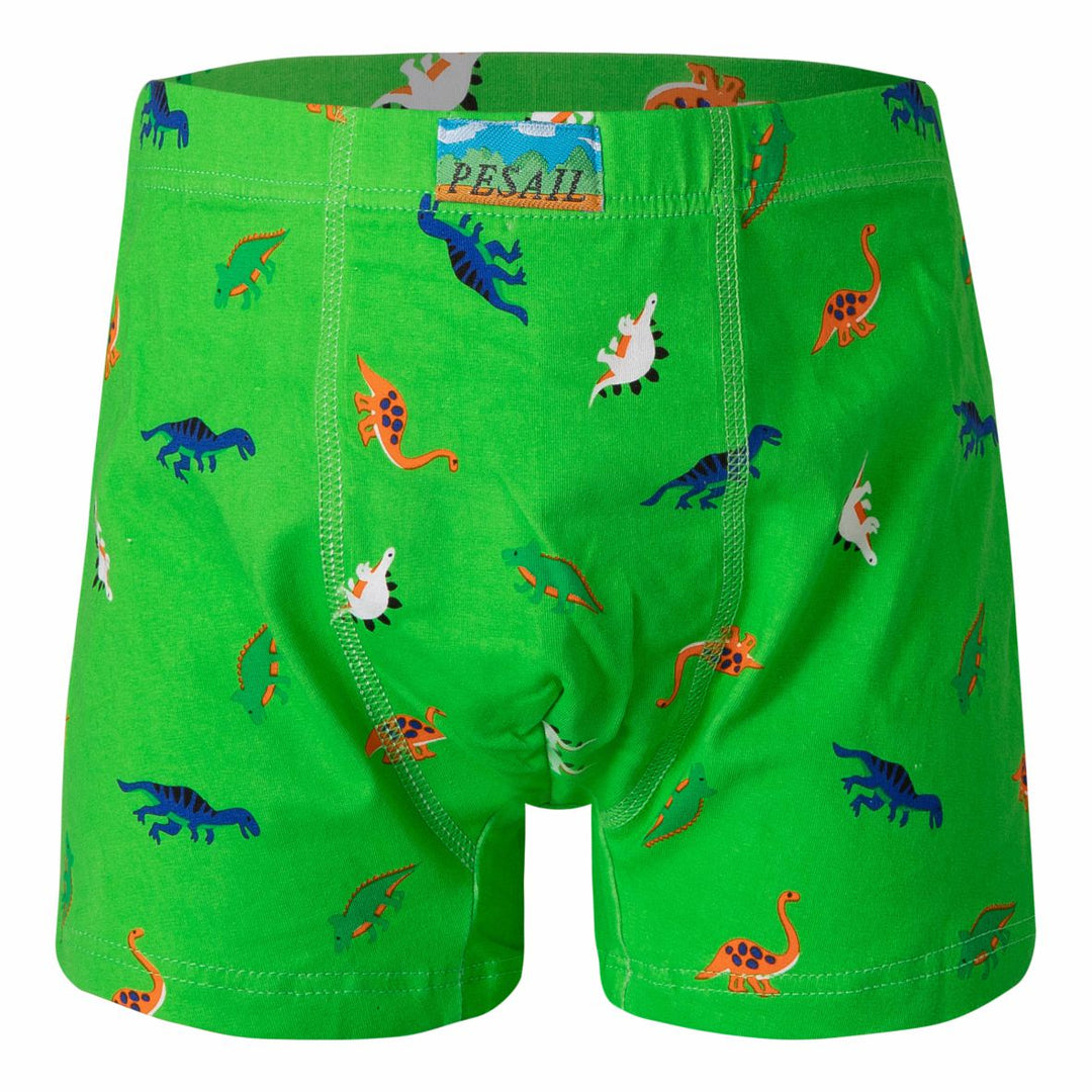 Boys' boxer shorts Dinosaur PE-XQ2635 4 pieces in a pack