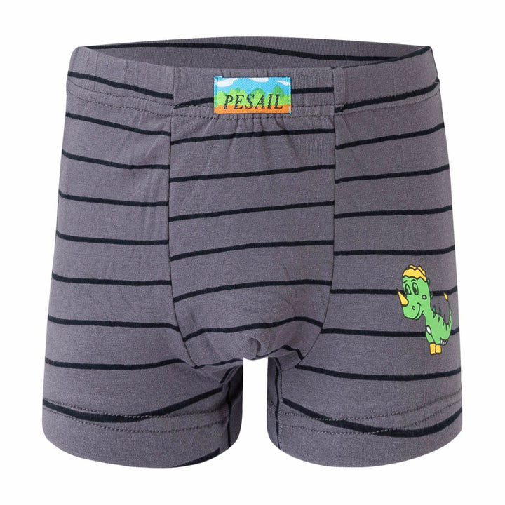 Boys' boxer shorts PE-XQ2671 - 4 pcs in a pack