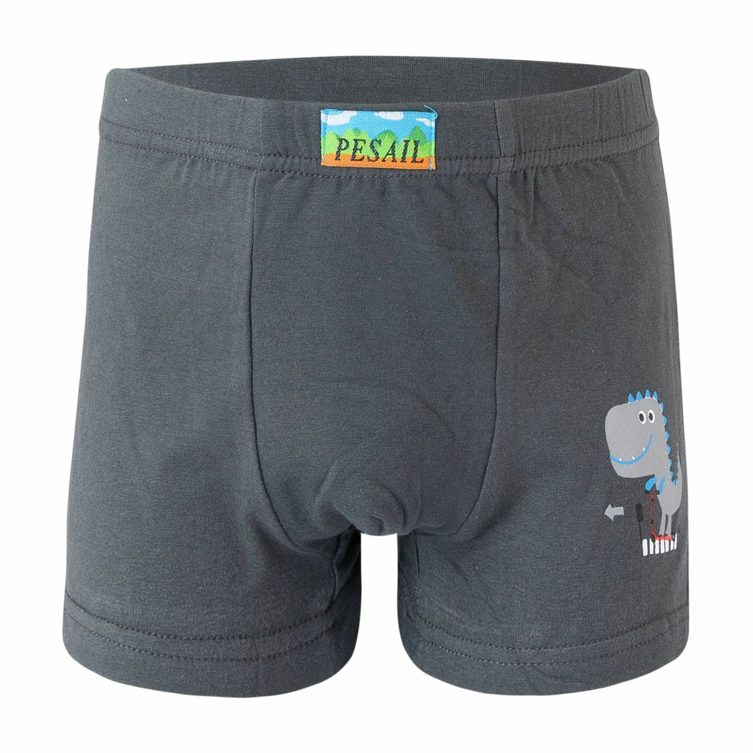 Boys' boxer shorts Dinosaur PE-XQ2672 4 pieces in a pack