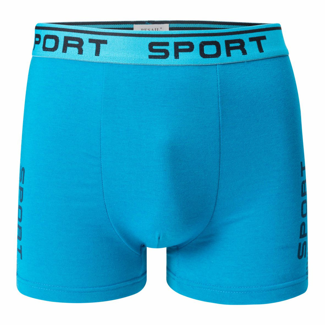 Men's boxer shorts SPORT T091 4 pieces in a pack