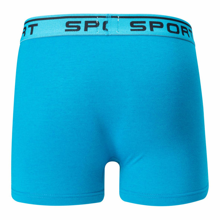 Men's boxer shorts SPORT T091 4 pieces in a pack