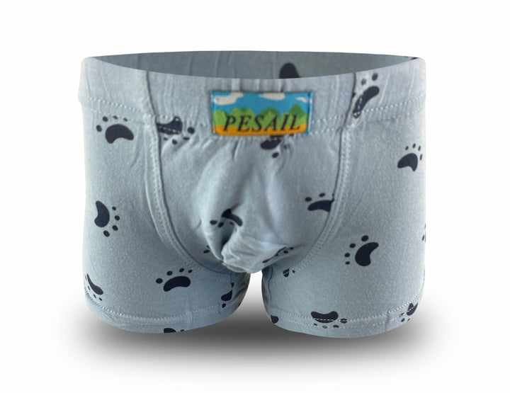 Boys' boxer shorts with paw print XQ2648 - 4 pcs in a pack