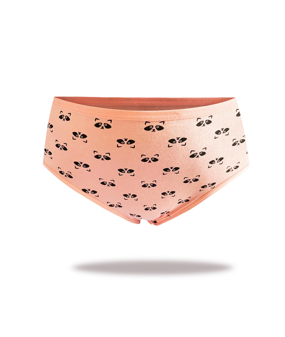 Women's cotton panties RACCOON YW4133 3 pcs.