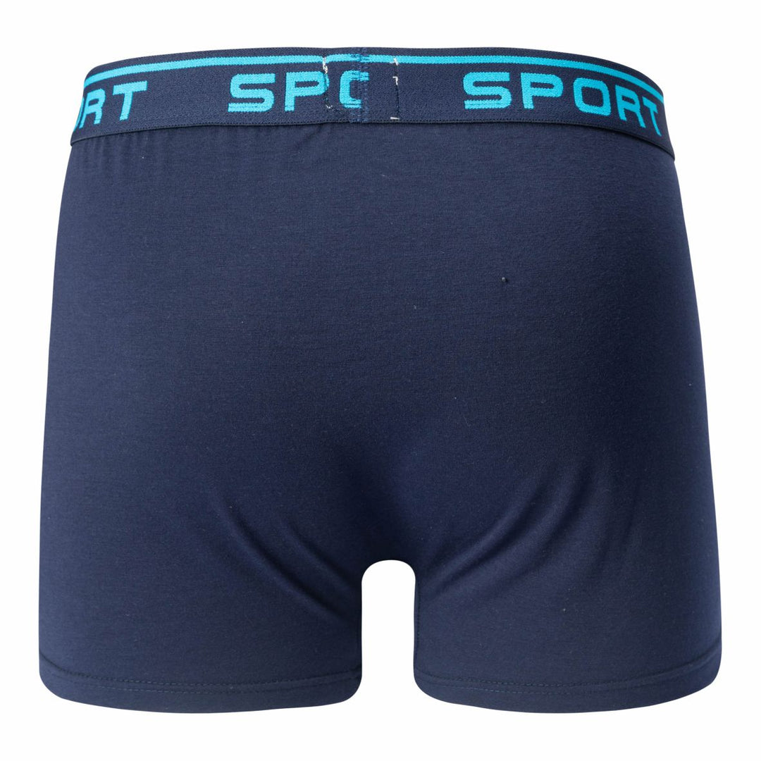Men's boxer shorts SPORT T091 4 pieces in a pack