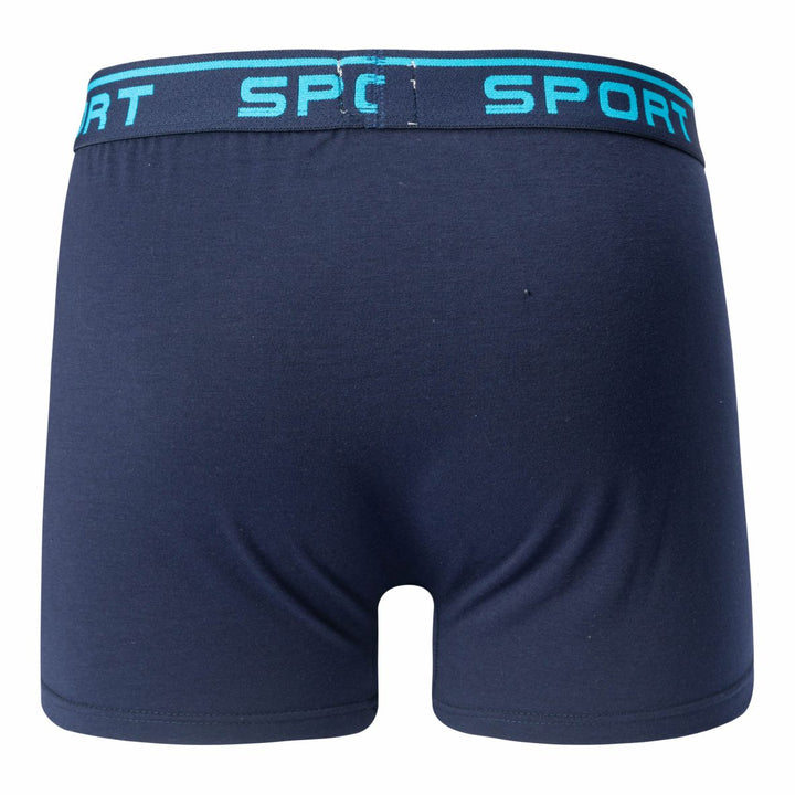 Men's boxer shorts SPORT T091 4 pieces in a pack