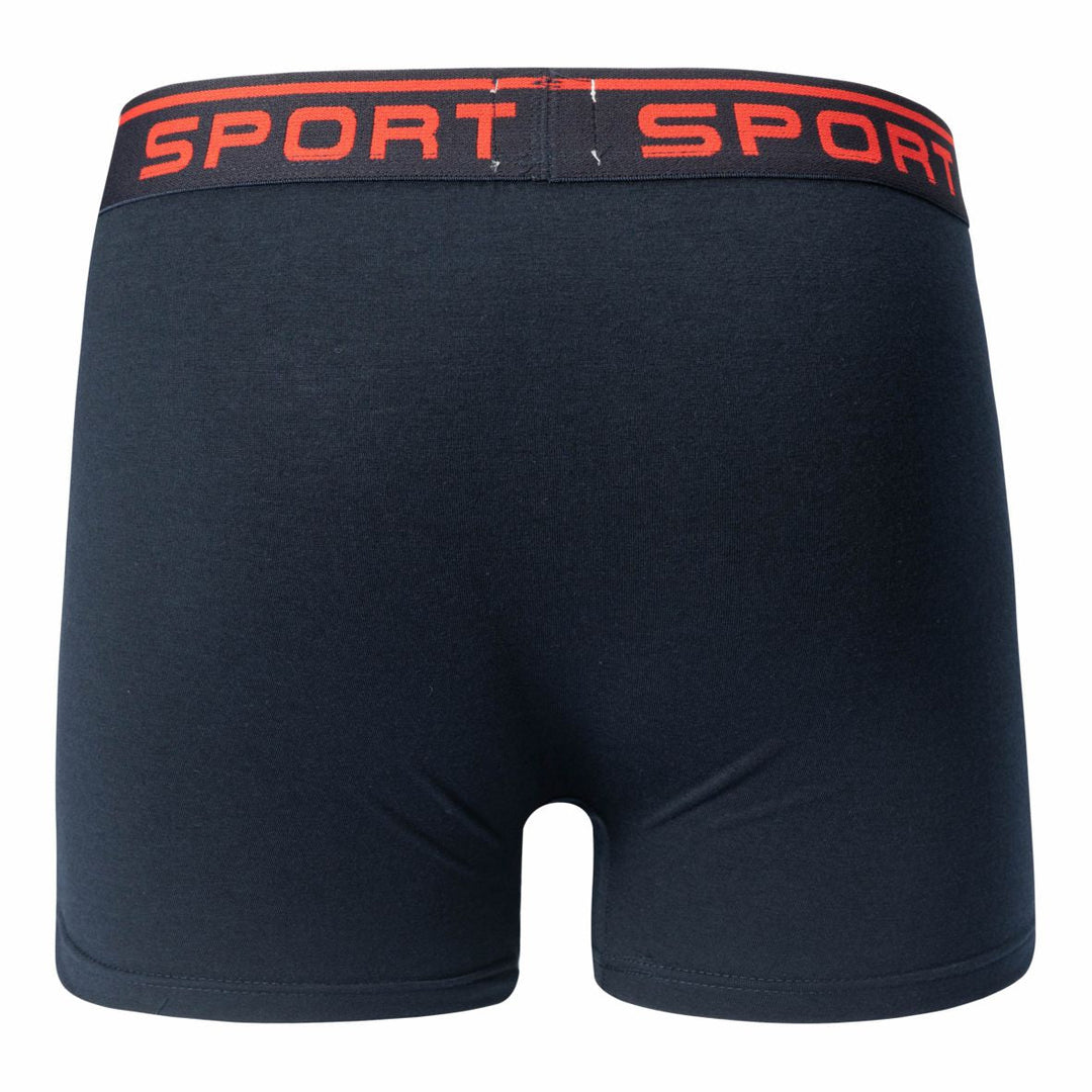 Men's boxer shorts SPORT T091 4 pieces in a pack