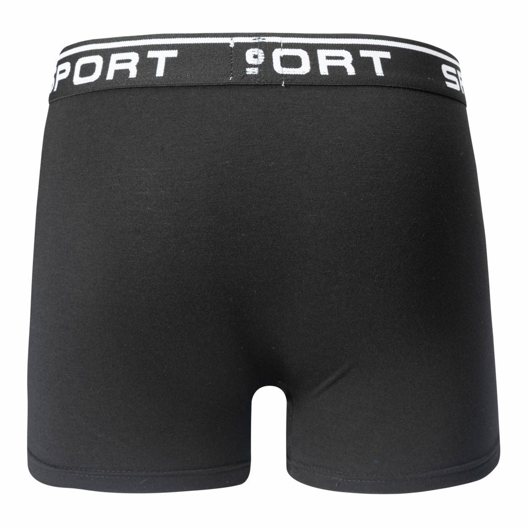 Men's boxer shorts SPORT T091 4 pieces in a pack