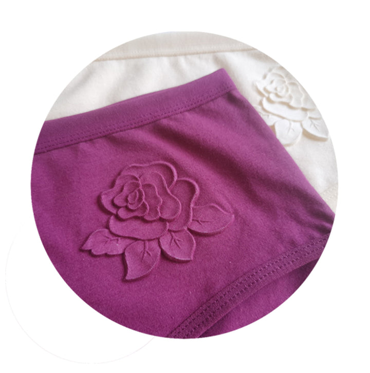Women's panties Rose CZ4120P - 3 pcs in a pack